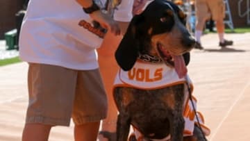 Sep 17, 2016; Knoxville, TN, USA; A Tennessee Volunteers fan poses with Smokey before the game against the Ohio Bobcats at Neyland Stadium. Mandatory Credit: Randy Sartin-USA TODAY Sports