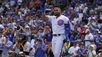 Chicago Cubs designated hitter Willson Contreras. (David Banks-USA TODAY Sports)
