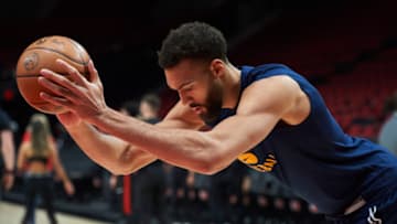 Utah Jazz center Rudy Gobert (Troy Wayrynen-USA TODAY Sports)