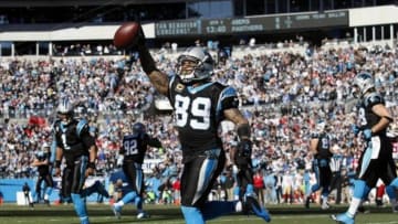 Jan 12, 2014; Charlotte, NC, USA; Carolina Panthers wide receiver Steve Smith (89) celebrates a touchdown against the San Francisco 49ers during the first half of the 2013 NFC divisional playoff football game at Bank of America Stadium. Mandatory Credit: Jeremy Brevard-USA TODAY Sports