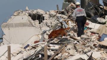 SURFSIDE, FLORIDA - JUNE 24: A Miami-Dade Fire Rescue person and a K-9 continue search and rescue operations in the partially collapsed 12-story Champlain Towers South condo building on June 24, 2021 in Surfside, Florida. It is unknown at this time how many people were injured as the search-and-rescue effort continues with rescue crews from across Miami-Dade and Broward counties. (Photo by Joe Raedle/Getty Images)