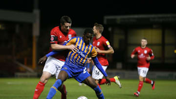 CREWE, ENGLAND - NOVEMBER 10: Tottenham Loanee Shilow Tracey of Shrewsbury (Photo by James Baylis - AMA/Getty Images)