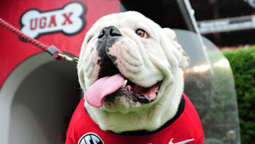 Georgia Football Offensive Line (Photo by Todd Bennett/GettyImages