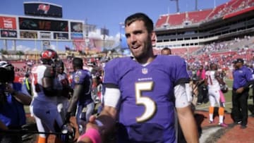 David Manning-USA TODAY Sports