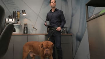 Scott Turner (Josh Peck) & Hooch from the new Disney+ series Turner & Hooch. (Disney+/Eric Milner)