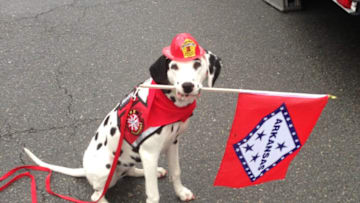 Molly the Fire Safety Dog. Photo by Dayna Hilton.