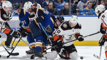ST. LOUIS, MO - NOVEMBER 29: Paul Stastny