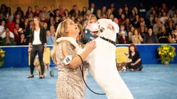 Rebecca Romijn and Jerry OConnell co-host the second annual canine competition, the only one of its kind to shine the spotlight on rescue dogs. Purebred and mixed breeds vie for top honors in adorable categories including Best in Wiggle Butt, Best in Special Needs, Best in Couch Potato and more. Credit: © 2019 Crown Media United States, LLC | Photo: Kim Nunneley/Alexx Henry Studios, LLC.