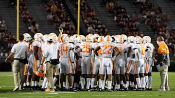 COLUMBIA, SOUTH CAROLINA - SEPTEMBER 26: Socially distant fans look on at the Tennessee Volunteers huddle during the Volunteers' football game against the South Carolina Gamecocks at Williams-Brice Stadium on September 26, 2020 in Columbia, South Carolina. (Photo by Mike Comer/Getty Images)