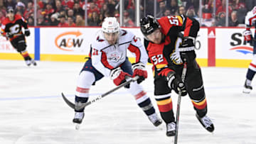 Garnet Hathaway, Washington Capitals Mandatory Credit: Candice Ward-USA TODAY Sports