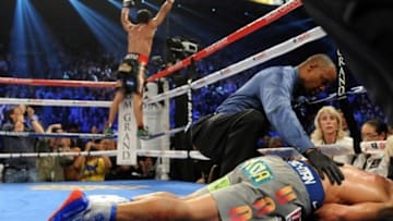 Mandatory Credit: Joe Camporeale-USA TODAY Sports