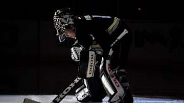 February 1, 2014; Anaheim, CA, USA; Anaheim Ducks goalie Jonas Hiller (1) before playing against the Dallas Stars at Honda Center. Mandatory Credit: Gary A. Vasquez-USA TODAY Sports