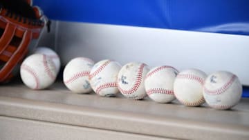 Toronto Blue Jays (Photo by Mark Brown/Getty Images)
