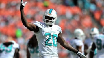 Nov 24, 2013; Miami Gardens, FL, USA; Miami Dolphins free safety Reshad Jones (20) reacts during a game against the Carolina Panthers at Sun Life Stadium. The Panthers won 20-16. Mandatory Credit: Steve Mitchell-USA TODAY Sports