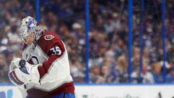 Darcy Kuemper, Washington Capitals Mandatory Credit: Geoff Burke-USA TODAY Sports