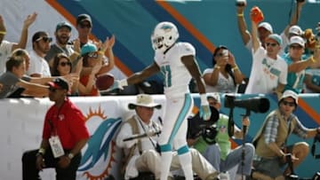 Nov 24, 2013; Miami Gardens, FL, USA; Miami Dolphins wide receiver Mike Wallace (11) hands the ball to a fan after scoring a touchdown pass against the Carolina Panthers in the first quarter of a game at Sun Life Stadium. Mandatory Credit: Robert Mayer-USA TODAY Sports
