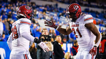 South Carolina football safety Nick Emmanwori was named to the Bronco Nagurski Award watch list. Mandatory Credit: Jordan Prather-USA TODAY Sports