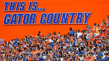 GAINESVILLE, FL - OCTOBER 07: A general view during the game between the Florida Gators and the LSU Tigers at Ben Hill Griffin Stadium on October 7, 2017 in Gainesville, Florida. (Photo by Sam Greenwood/Getty Images)