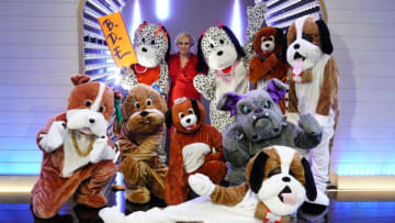 POOCH PERFECT - “Feliz Navidog!” – The remaining nine grooming teams face off in the Immunity Puppertunity “shape up” where they must transform their dogs into a geometric shape when “Pooch Perfect” airs TUESDAY, APRIL 6 (8:00-9:00 p.m. EDT), on ABC. (ABC/Christopher Willard)REBEL WILSON