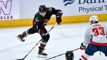 GLENDALE, ARIZONA - FEBRUARY 15: Nick Schmaltz #8 of the Arizona Coyotes handles the puck in the first period against Radko Gudas #33 of the Washington Capitals at Gila River Arena on February 15, 2020 in Glendale, Arizona. (Photo by Jennifer Stewart/Getty Images)