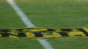 Aug 14, 2015; Jacksonville, FL, USA; A gold-painted NFL logo on the field before the start of a preseason NFL football game between the Pittsburgh Steelers and the Jacksonville Jaguars at EverBank Field. The logo is part of the NFL