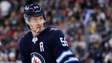 Winnipeg Jets (Mandatory Credit: James Carey Lauder-USA TODAY Sports)