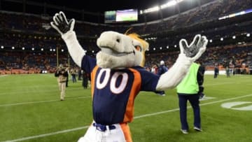Nov 1, 2015; Denver, CO, USA; Denver Broncos mascot Miles celebrates following the win over the Green Bay Packers at Sports Authority Field at Mile High. The Broncos defeated the Packer 29-10. Mandatory Credit: Ron Chenoy-USA TODAY Sports