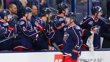 Nov 25, 2014; Columbus, OH, USA; Columbus Blue Jackets defenseman Jordan Leopold (3) celebrates a goal against the Winnipeg Jets during the first period at Nationwide Arena. Mandatory Credit: Russell LaBounty-USA TODAY Sports