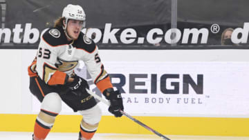 Anaheim Ducks (Photo by Ethan Miller/Getty Images)