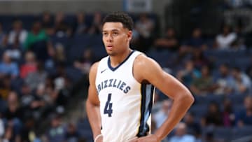 MEMPHIS, TN - OCTOBER 13: Wade Baldwin IV