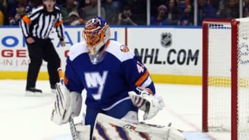 Dec 20, 2014; Uniondale, NY, USA; New York Islanders goalie Jaroslav Halak (41) makes a save against the Tampa Bay Lightning during the first period at Nassau Veterans Memorial Coliseum. Mandatory Credit: Brad Penner-USA TODAY Sports