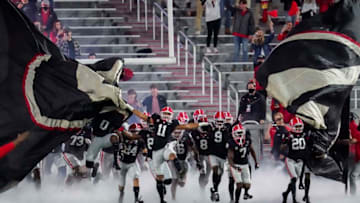 Georgia BulldogsDale Zanine-USA TODAY Sports