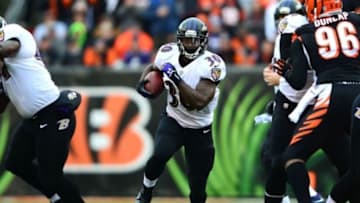 Dec 29, 2013; Cincinnati, OH, USA; Baltimore Ravens running back Bernard Pierce (30) runs the ball during the first quarter against the Cincinnati Bengals at Paul Brown Stadium. Mandatory Credit: Andrew Weber-USA TODAY Sports