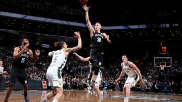 Brooklyn Nets Dzanan Musa. Mandatory Copyright Notice: Copyright 2019 NBAE (Photo by Nathaniel S. Butler/NBAE via Getty Images)