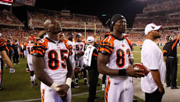 CINCINNATI, OH - AUGUST 15: Terrell Owens