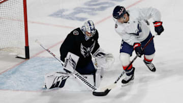 Garnet Hathaway, Darcy Kuemper, Washington Capitals Mandatory Credit: Geoff Burke-USA TODAY Sports