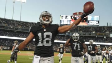 August 14, 2015; Oakland, CA, USA; Oakland Raiders wide receiver Andre Holmes (18) celebrates after scoring a touchdown against the St. Louis Rams during the second quarter in a preseason NFL football game at O.co Coliseum. Mandatory Credit: Kyle Terada-USA TODAY Sports