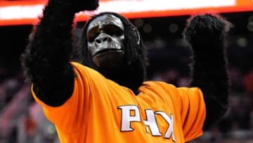 Nov 10, 2013; Phoenix, AZ, USA; Phoenix Suns mascot the Gorilla interacts with fans during the fourth quarter against the New Orleans Pelicans at US Airways Center. The Suns beat the Pelicans 101-94. Mandatory Credit: Casey Sapio-USA TODAY Sports