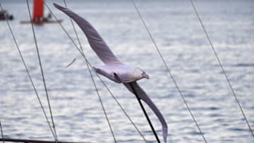 WELLINGTON, NEW ZEALAND - FEBRUARY 23: Detial of Albatross on a Waka during NZ Festival Opening Night - A Waka Odyssey on February 23, 2018 in Wellington, New Zealand. (Photo by Mark Tantrum/Getty Images)