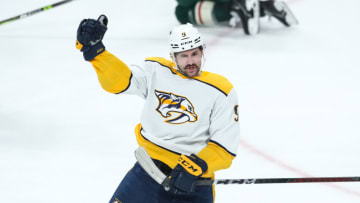 Nashville Predators (Photo by David Berding/Getty Images)