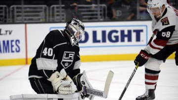 LA Kings (Mandatory Credit: Gary A. Vasquez-USA TODAY Sports)
