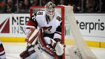 February 5, 2016; Anaheim, CA, USA; Arizona Coyotes goalie Anders Lindback (29) defends the goal against Anaheim Ducks during the second period at Honda Center. Mandatory Credit: Gary A. Vasquez-USA TODAY Sports