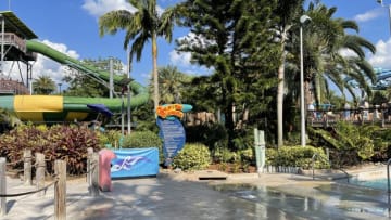Dolphin Plunge is an Aquatica visit highlight on the website but is it really worth the wait and do you really get to slide into a dolphins cove? Image courtesy Brian Miller
