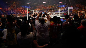 NEW YORK, NY - AUGUST 23: Crowds cheer at the WWE SummerSlam 2015 at Barclays Center of Brooklyn on August 23, 2015 in New York City. (Photo by JP Yim/Getty Images)