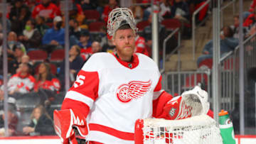 Detroit Red Wings, Magnus Hellberg. (Photo by Rich Graessle/Getty Images)