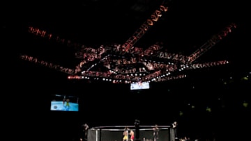 Fighters square off inside the octagon during their bout at Ultimate Fighting Championship (UFC) Fight Night at Cotai Arena, inside the Venetian Macao resort and casino, operated by Sands China Ltd., a unit of Las Vegas Sands Corp., in Macau, China, on Saturday, Aug. 23, 2014. UFC, the largest pay-per-view event provider, broadcasts to more than 800 million homes worldwide. Photographer: Brent Lewin/Bloomberg via Getty Images