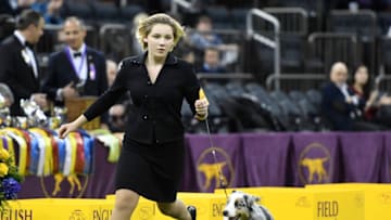 NEW YORK, NEW YORK - FEBRUARY 12: Handler Victoria Tarr and her Australian Shepherd 'Ch Vinelake's Parting Glance BCAT' compete in the Junior Showmanship competition at the 143rd Westminster Kennel Club Dog Show at Madison Square Garden on February 12, 2019 in New York City. (Photo by Sarah Stier/Getty Images) (Photo by Sarah Stier/Getty Images)