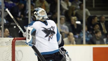 San Jose Sharks. (Photo by Jed Jacobsohn/Getty Images)