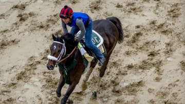 BALTIMORE, MD - MAY 16: Bravazo jogs in preparation for the Preakness at Pimlico Race Course on May 15, 2018 in Baltimore, Maryland (Photo by Scott Serio/Eclipse Sportswire/Getty Images)