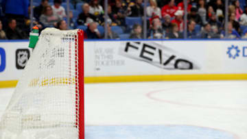 BUFFALO, NY - FEBRUARY 11: A general view of the goalie net used during a game between the Buffalo Sabres and the Detroit Red Wings at KeyBank Center on February 11, 2020 in Buffalo, New York. (Photo by Timothy T Ludwig/Getty Images)